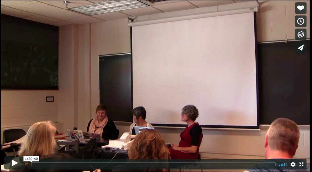 Video Dialogue with Carol Stabile photo