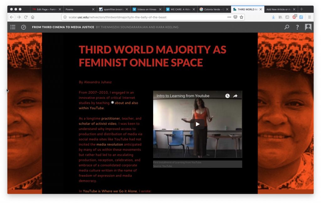Third World Majority as Feminist Online Space photo
