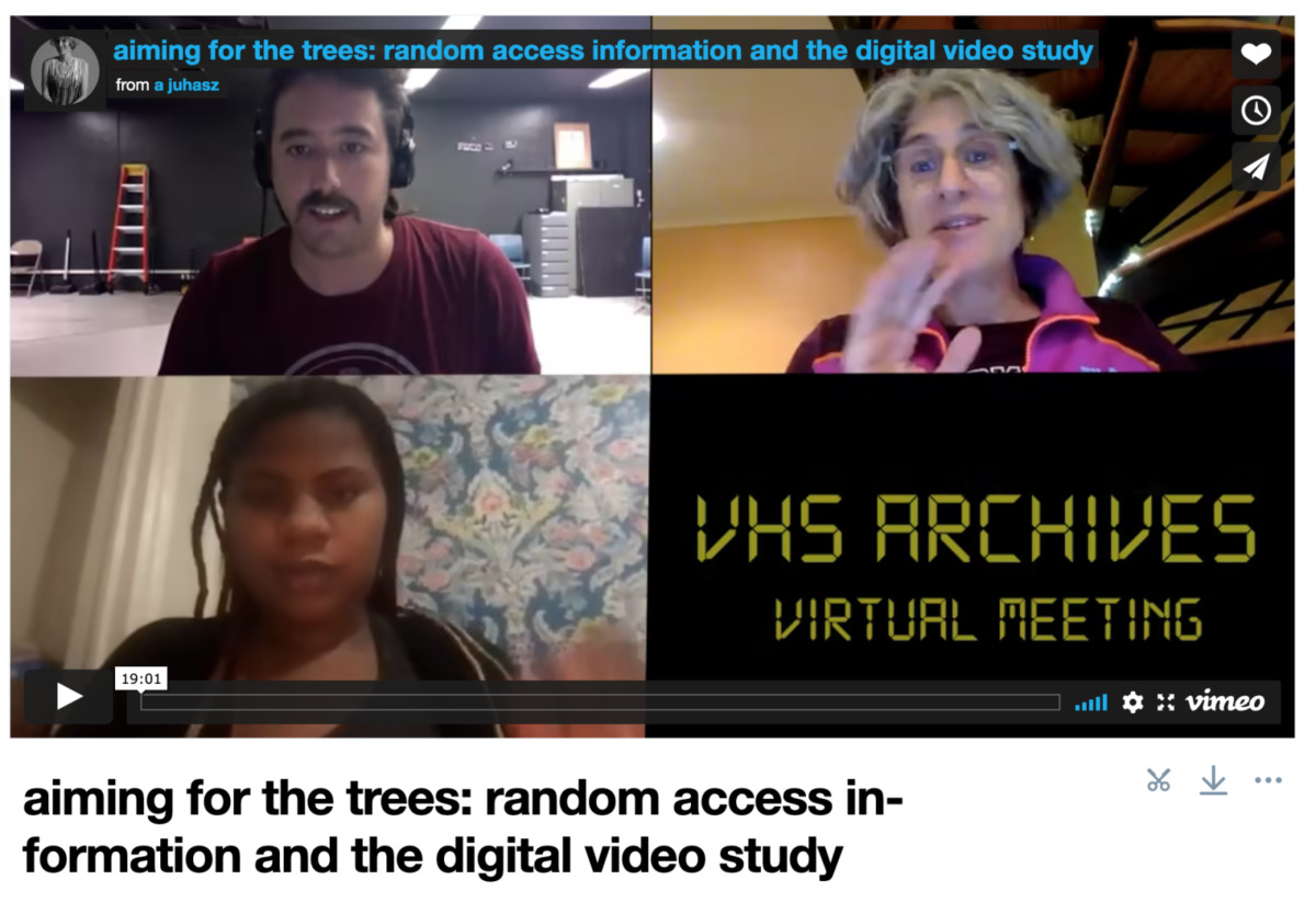 Aiming for the trees: Random Access Information and the Digital Video Study