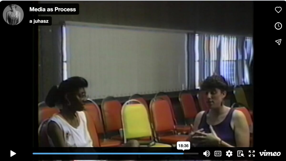 Media as Process by Alex Martinis Roe with Alexandra Juhasz